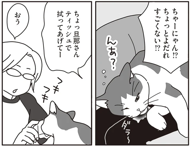 15歳の猫に不調の兆し。食欲が落ち、大量のよだれが出て…／世界一幸せな飼い主にしてくれた猫（4）