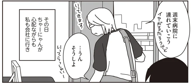 15歳になった飼い猫の不調。夏バテ？それとも病気？／世界一幸せな飼い主にしてくれた猫（5）