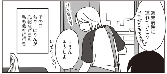 週末病院に連れていこう