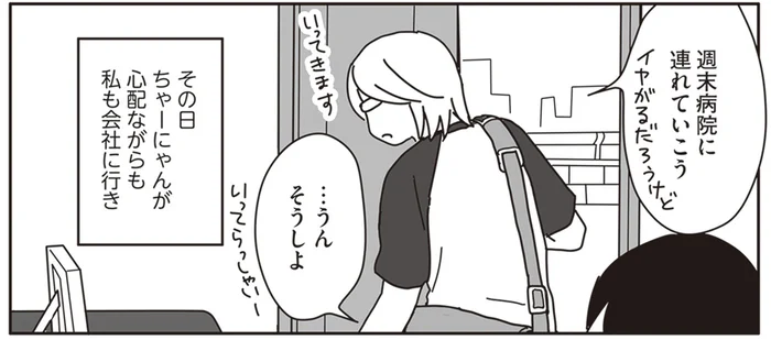 15歳になった飼い猫の不調。夏バテ？それとも病気？／世界一幸せな飼い主にしてくれた猫（5）