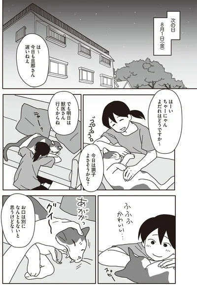 でも明日は獣医さん行くからね