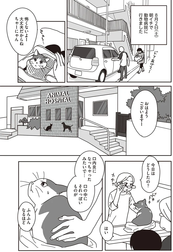 口内炎になっちゃったみたいで…