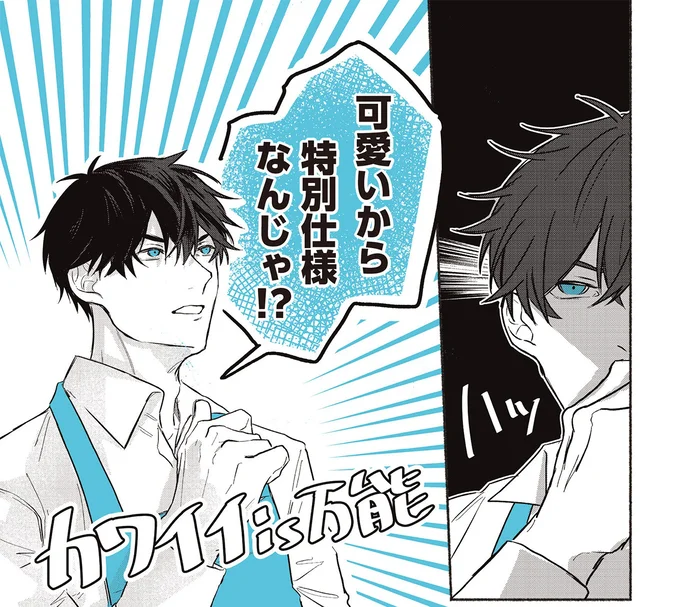 特別仕様なんじゃ!?