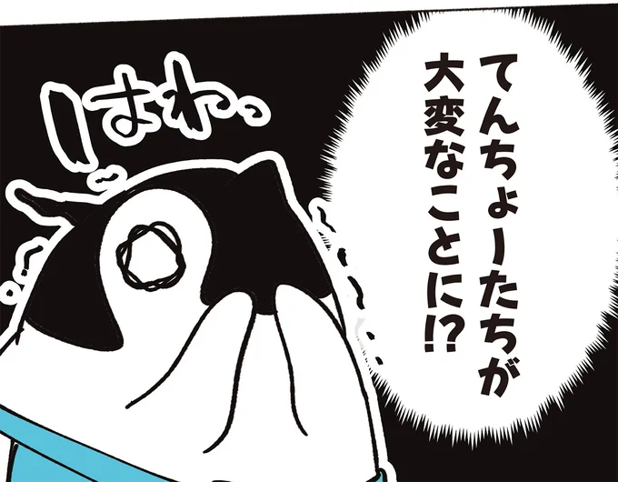 『ペンギン喫茶は今日も青天3』より