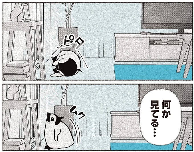 『ペンギン喫茶は今日も青天3』より