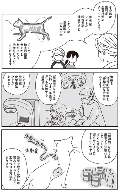 治療も「積極的」な治療と「緩和的」な治療があります