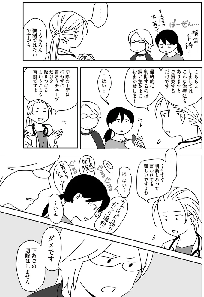 ダメです　下あごの切除はしません