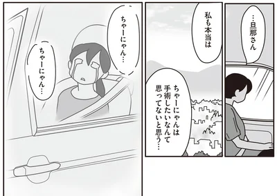 私も本当は　ちゃーにゃんは手術したいなんて思ってないと思う…