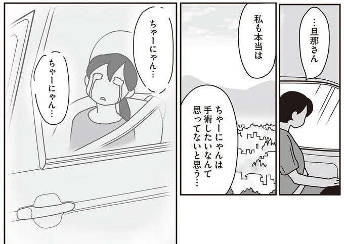 私も本当は　ちゃーにゃんは手術したいなんて思ってないと思う…