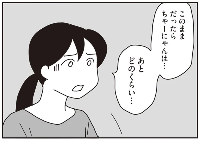 飼い猫のガン治療に苦渋の決断。そして告げられた余命は…／世界一幸せな飼い主にしてくれた猫（11）