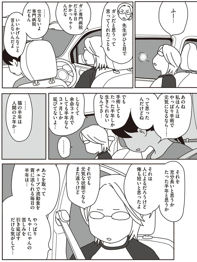 …猫の半年は人間の2年か…