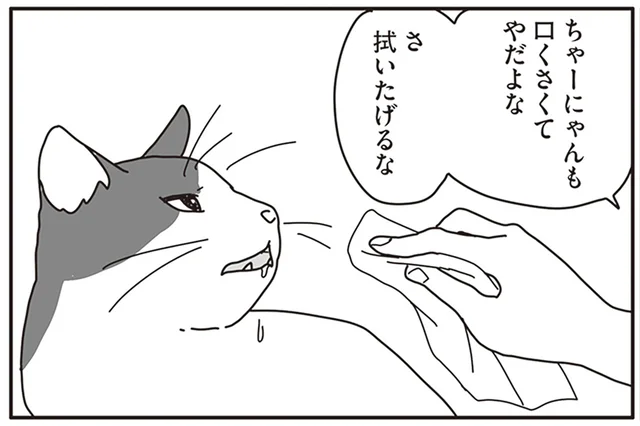 すべては余命3ヶ月の飼い猫のため。夫婦で取り組んだ自宅看病／世界一幸せな飼い主にしてくれた猫（14）