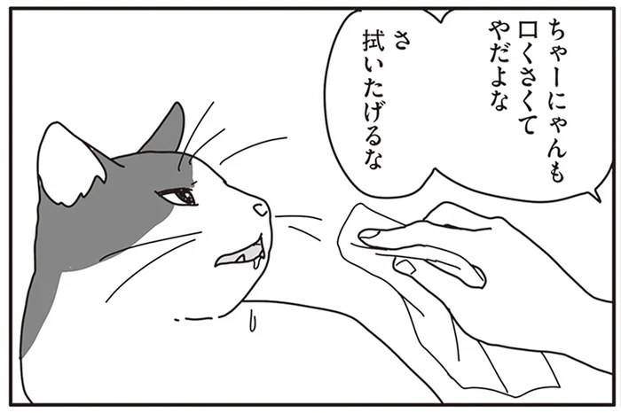 すべては余命3ヶ月の飼い猫のため。夫婦で取り組んだ自宅看病／世界一幸せな飼い主にしてくれた猫（14）