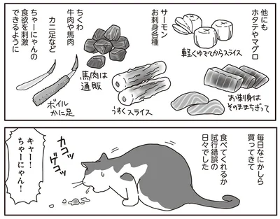 すごい　超必死で食べてる