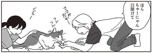 口内のガンは日々進行。闘病中の飼い猫の食事に試行錯誤／世界一幸せな飼い主にしてくれた猫（15）