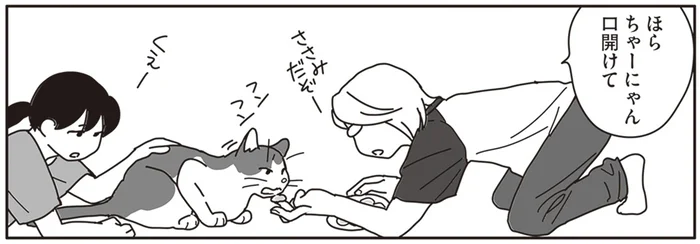 口内のガンは日々進行。闘病中の飼い猫の食事に試行錯誤／世界一幸せな飼い主にしてくれた猫（15）