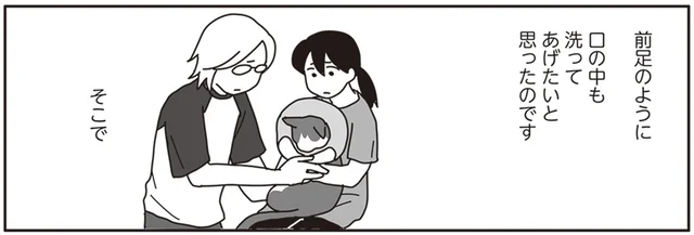 ついにガンの「自壊」が始まった。荒れる口内を少しでもきれいにしてあげたくて…／世界一幸せな飼い主にしてくれた猫（17）