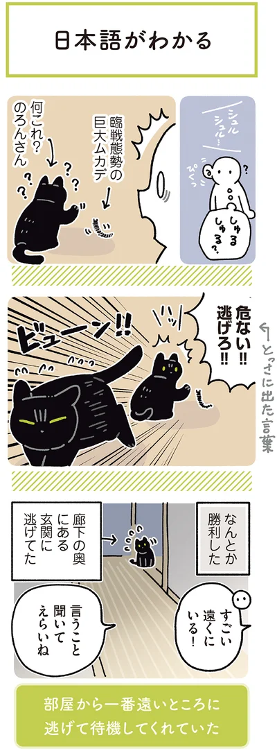 『黒猫ろんと暮らしたら7』より