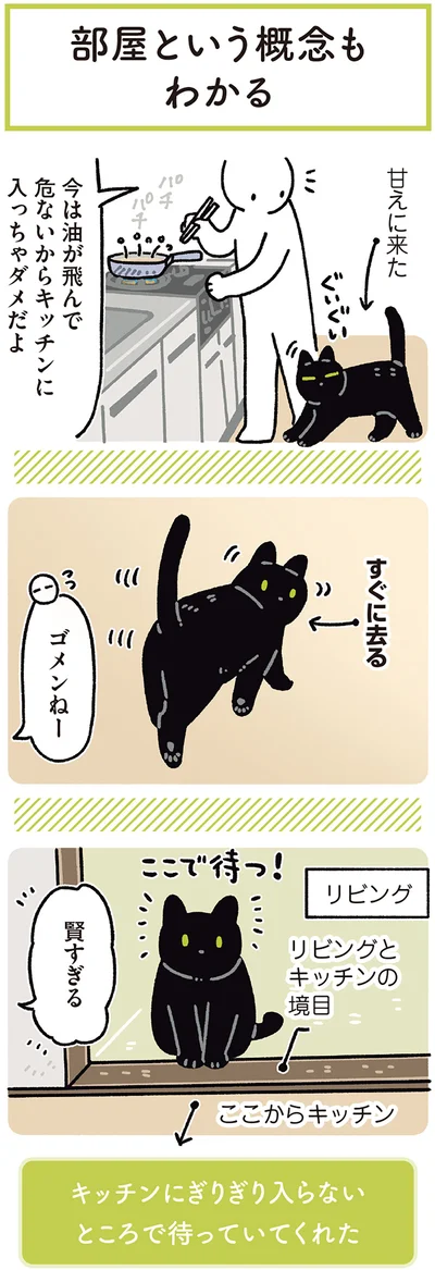 『黒猫ろんと暮らしたら7』より