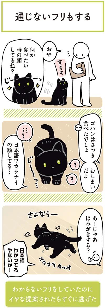 『黒猫ろんと暮らしたら7』より