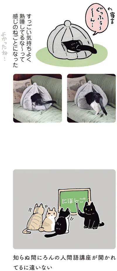 『黒猫ろんと暮らしたら7』より