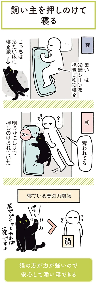 『黒猫ろんと暮らしたら7』より