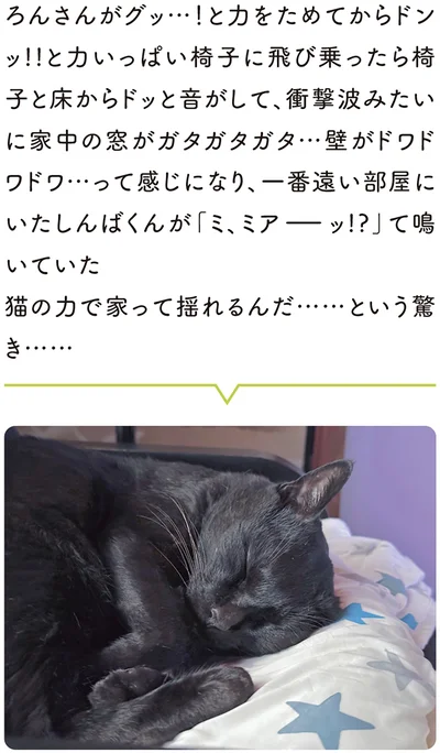 『黒猫ろんと暮らしたら7』より