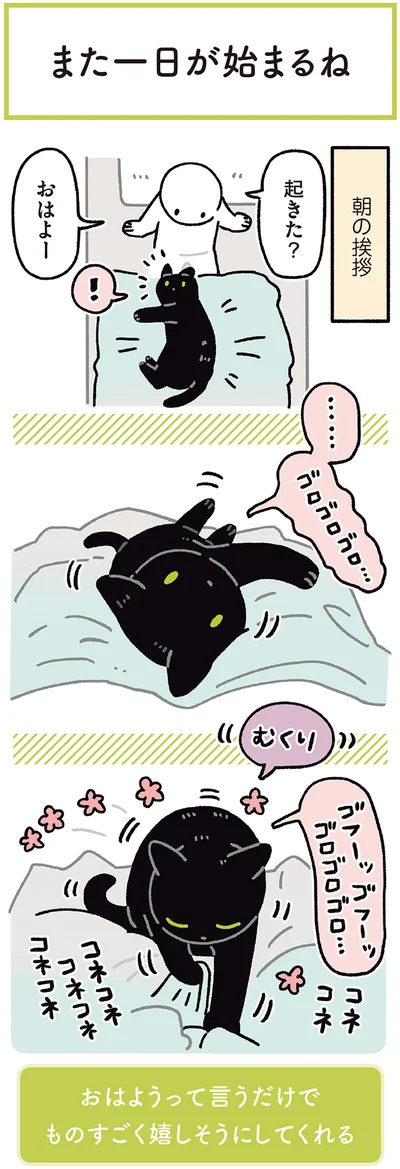 『黒猫ろんと暮らしたら7』より