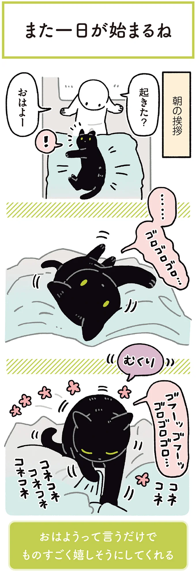 『黒猫ろんと暮らしたら7』より