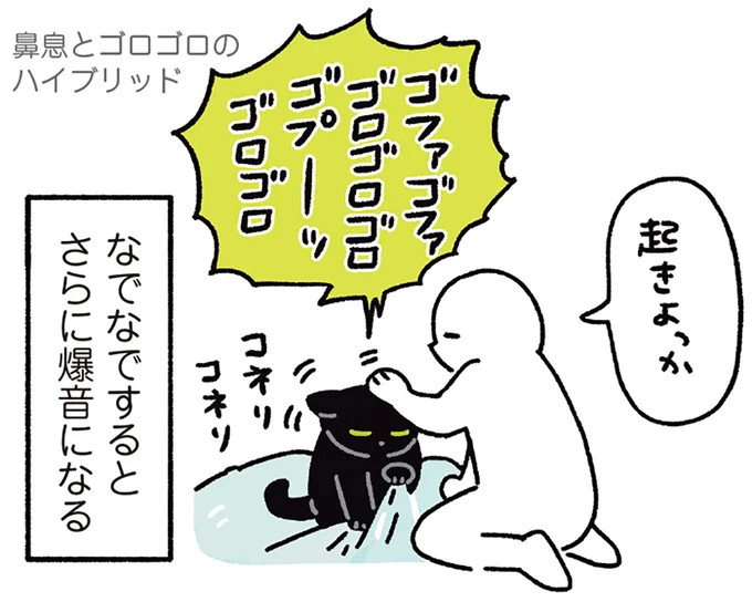 『黒猫ろんと暮らしたら7』より