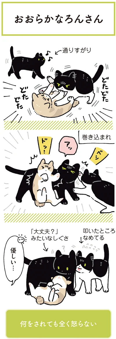『黒猫ろんと暮らしたら7』より