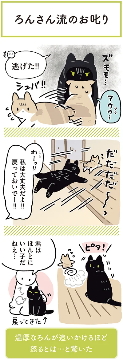 『黒猫ろんと暮らしたら7』より