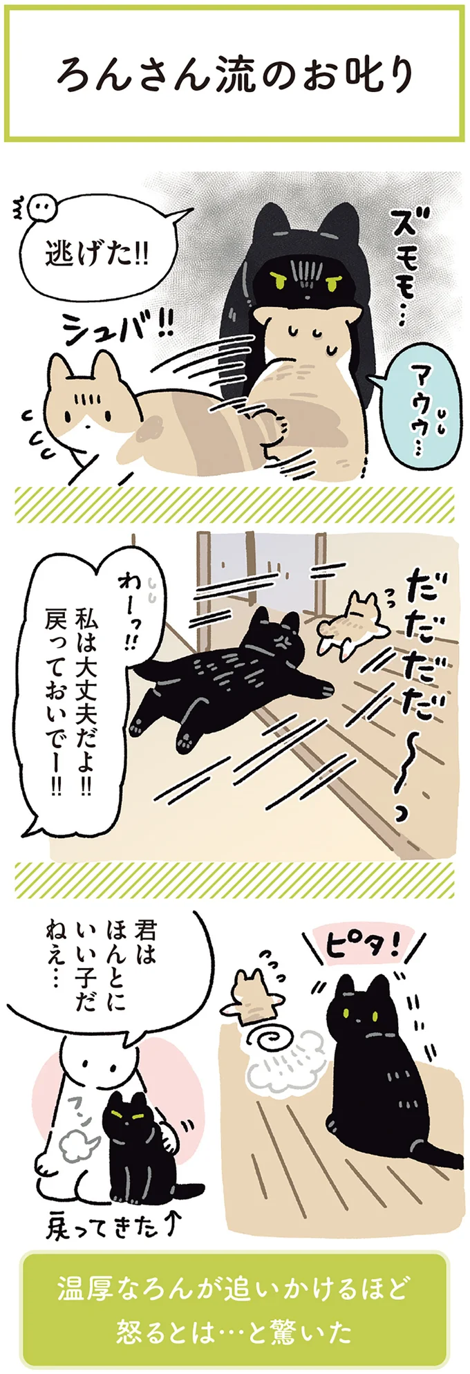 『黒猫ろんと暮らしたら7』より