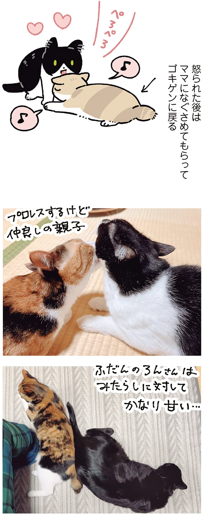 『黒猫ろんと暮らしたら7』より