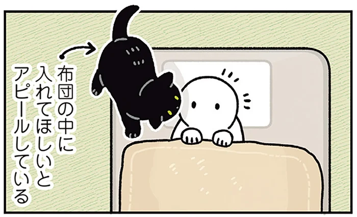 布団の上？それとも中？冬の訪れを教えてくれる黒猫ろん