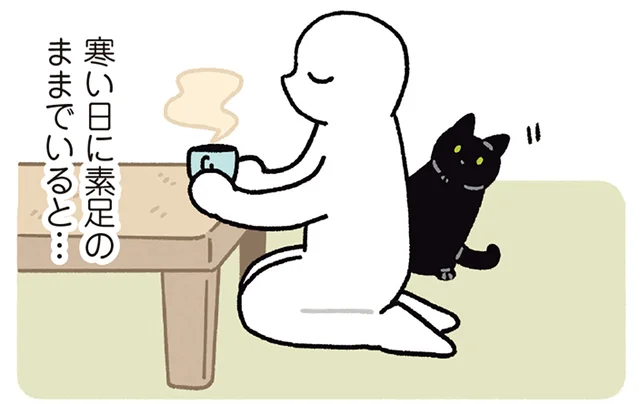 冷えた足元がぽかぽかに。黒猫ろんのふわふわなお腹