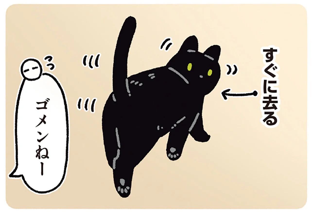 トレードへの取り組み方 キャットルズ 黒猫アイランド 【公式通販】