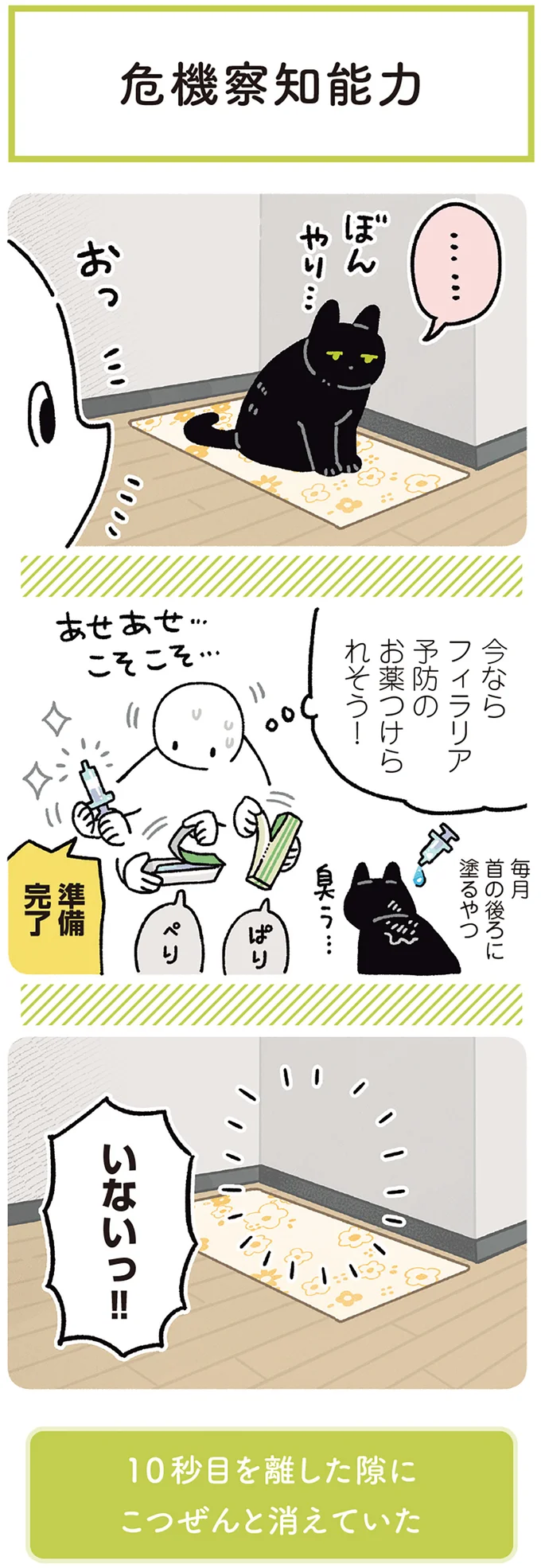 今ならフィラリア予防のお薬つけられそう！