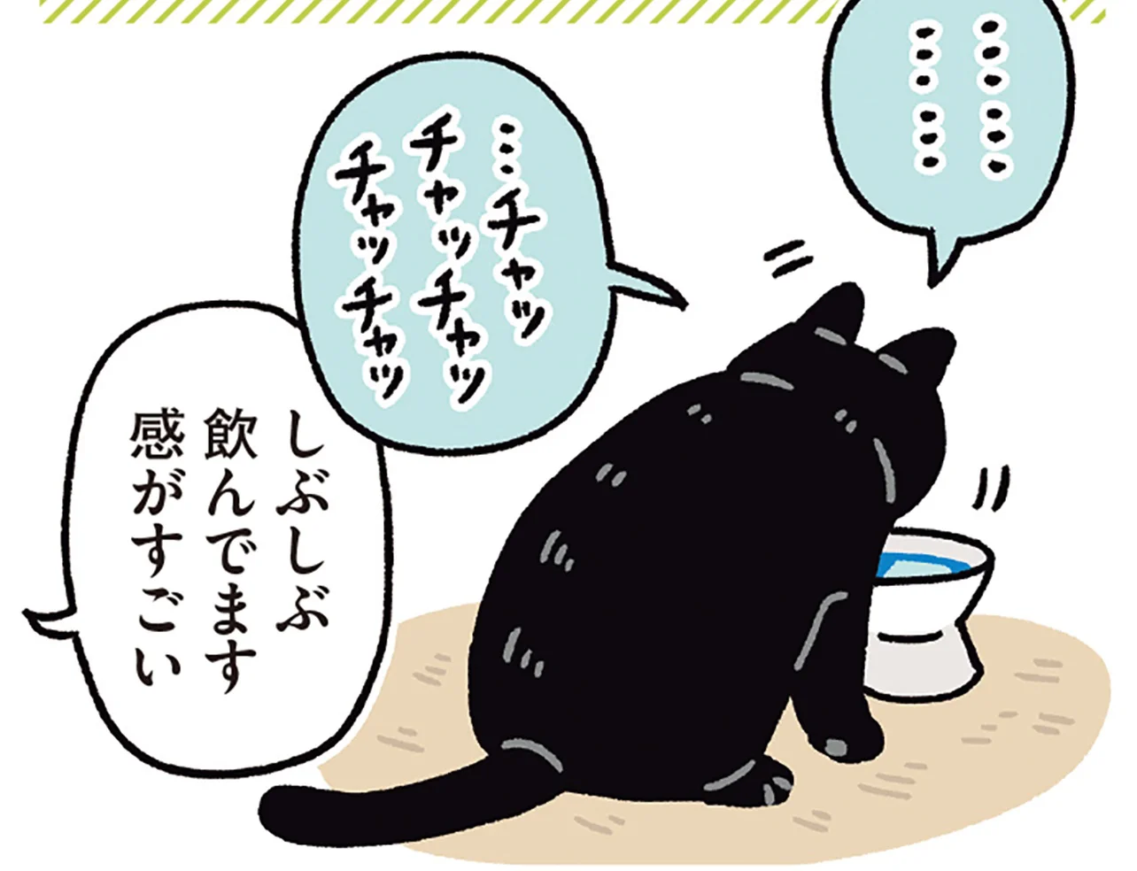 そこまで言うなら…。飼い主のお願いでしぶしぶ水を飲む黒猫ろん