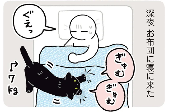 寝心地のいい場所を探す黒猫ろん。あちこち試してやっと決定！
