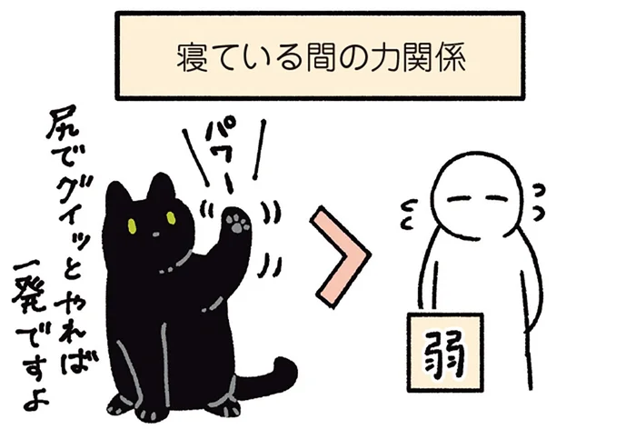 お尻でグイッと押しのける！寝ている間は飼い主よりも力が強い黒猫ろん