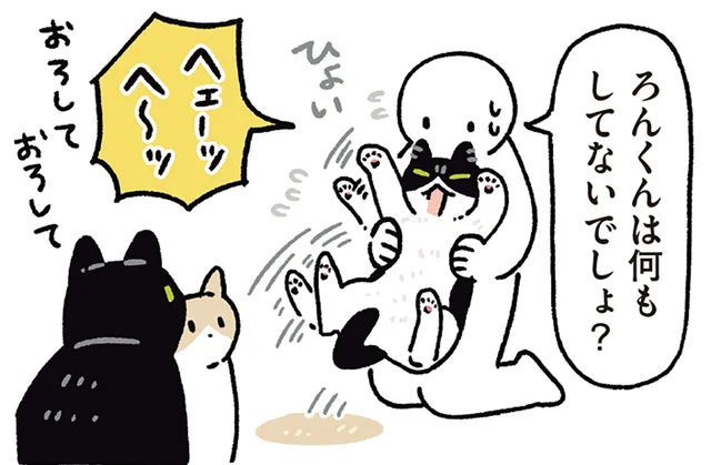 猫の世界にも理不尽が？あいさつでとばっちりを受ける黒猫ろん