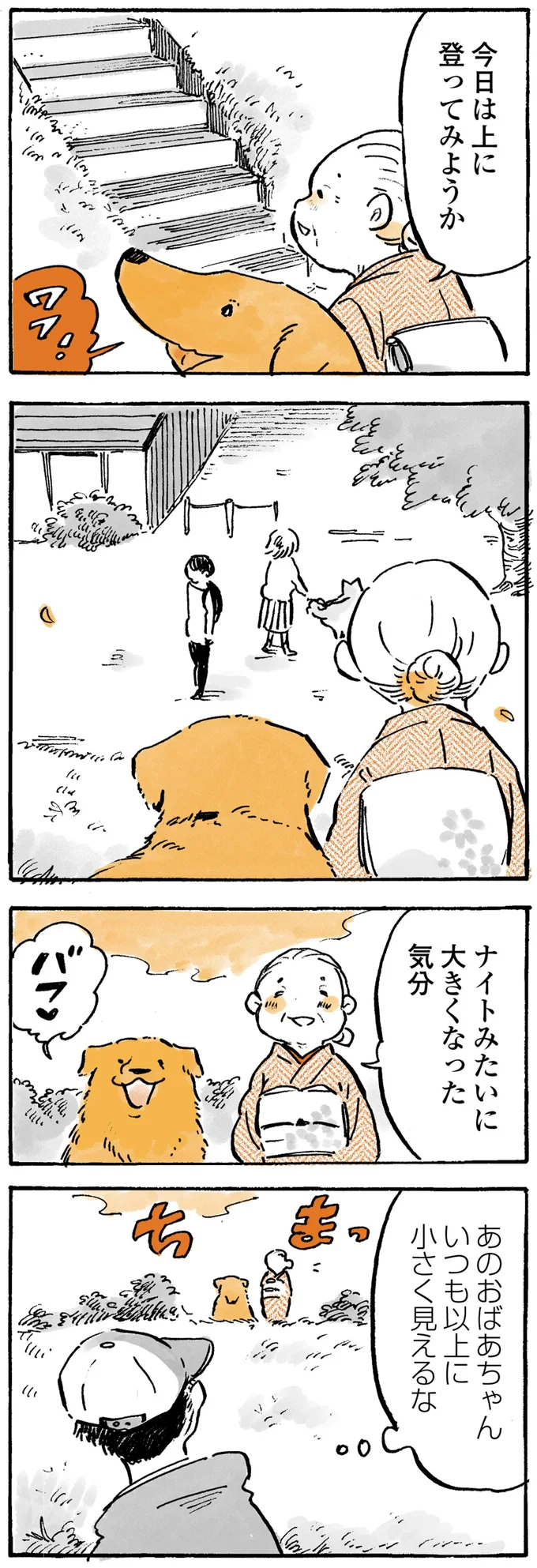 『姫ばあちゃんとナイト ふたりはきょうも』より