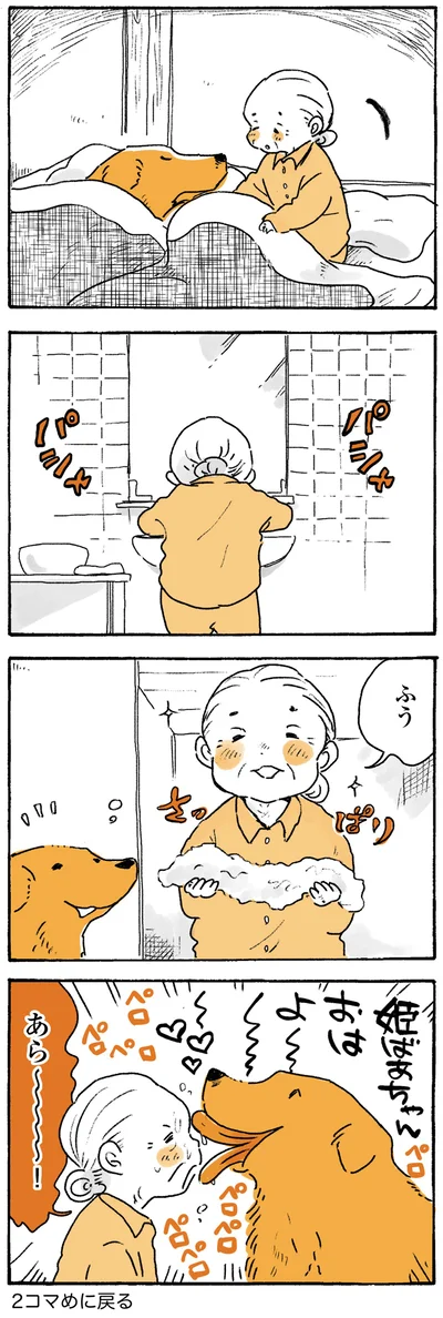 『姫ばあちゃんとナイト ふたりはきょうも』より