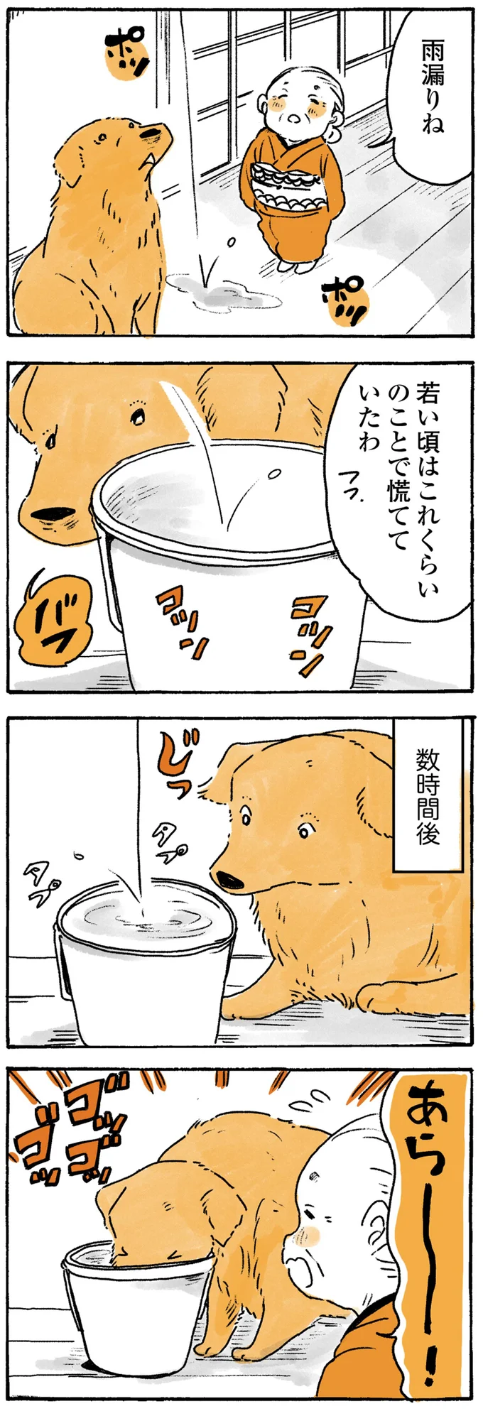 『姫ばあちゃんとナイト ふたりはきょうも』より
