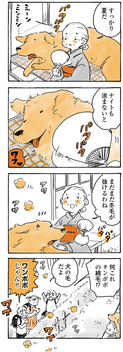 『姫ばあちゃんとナイト ふたりはきょうも』より