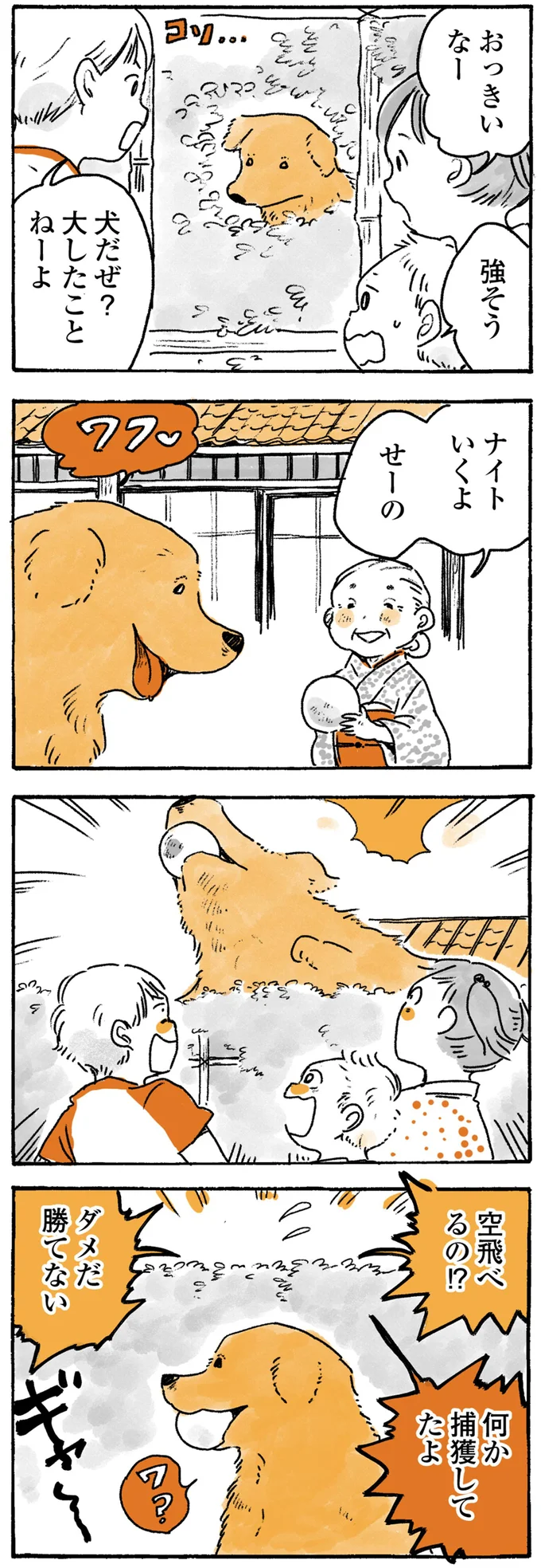 『姫ばあちゃんとナイト ふたりはきょうも』より