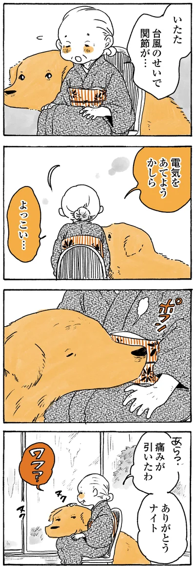 『姫ばあちゃんとナイト ふたりはきょうも』より