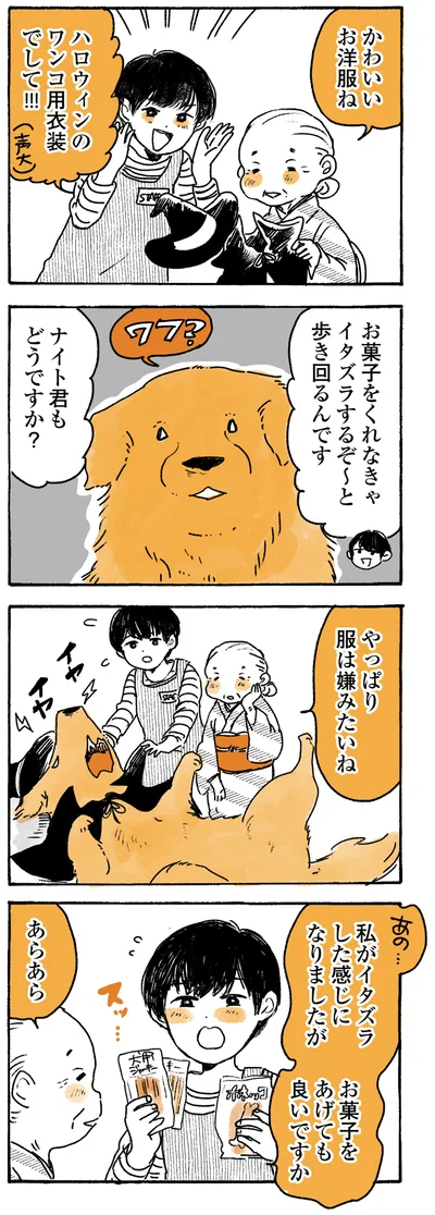 『姫ばあちゃんとナイト ふたりはきょうも』より