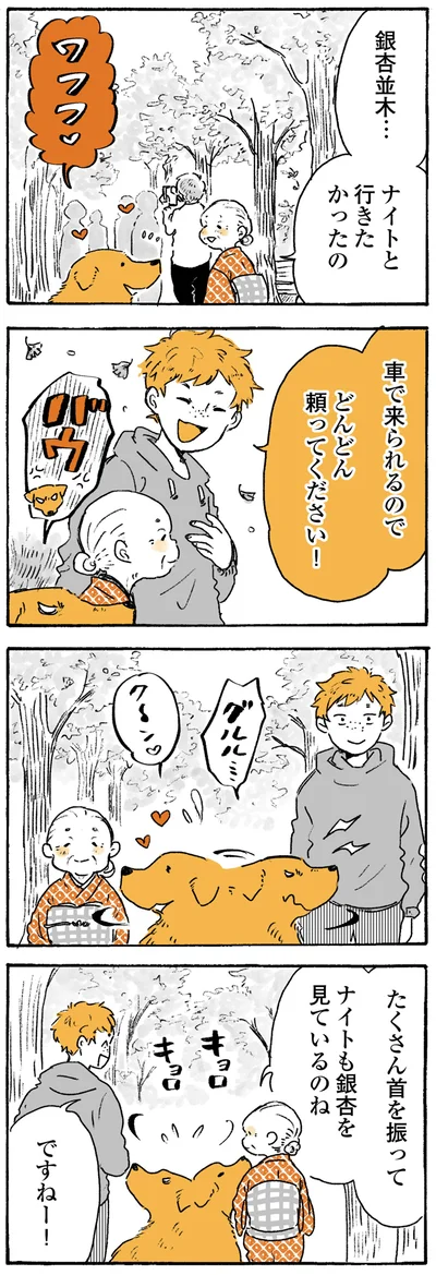 『姫ばあちゃんとナイト ふたりはきょうも』より